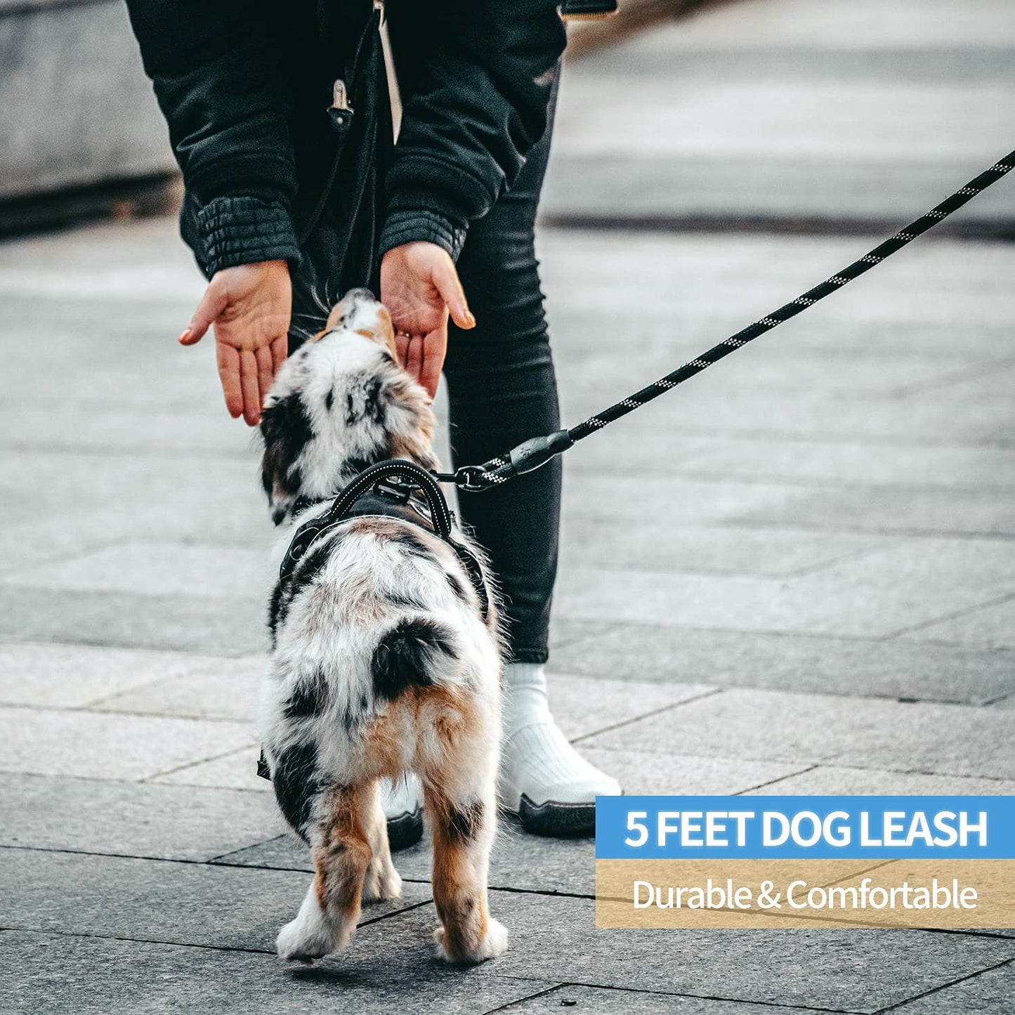 Premium Reflective Dog Leash with Padded Handle - 2/4/5/6 FT Options for All Dog Sizes (5FT-1/2'', Black)