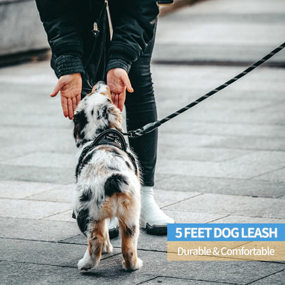 Premium Reflective Dog Leash with Padded Handle - 2/4/5/6 FT Options for All Dog Sizes (5FT-1/2'', Black)