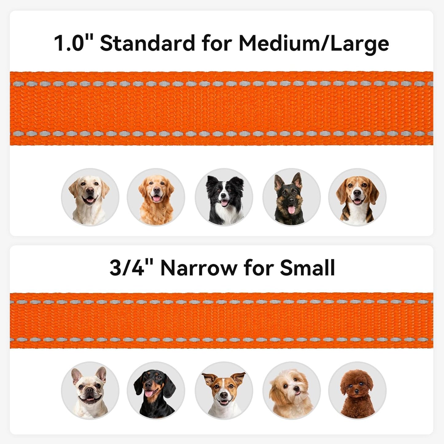 Premium 5 FT Double-Sided Reflective Dog Leash with Padded Handle - Heavy Duty Nylon for Medium & Large Dogs - Vibrant Orange