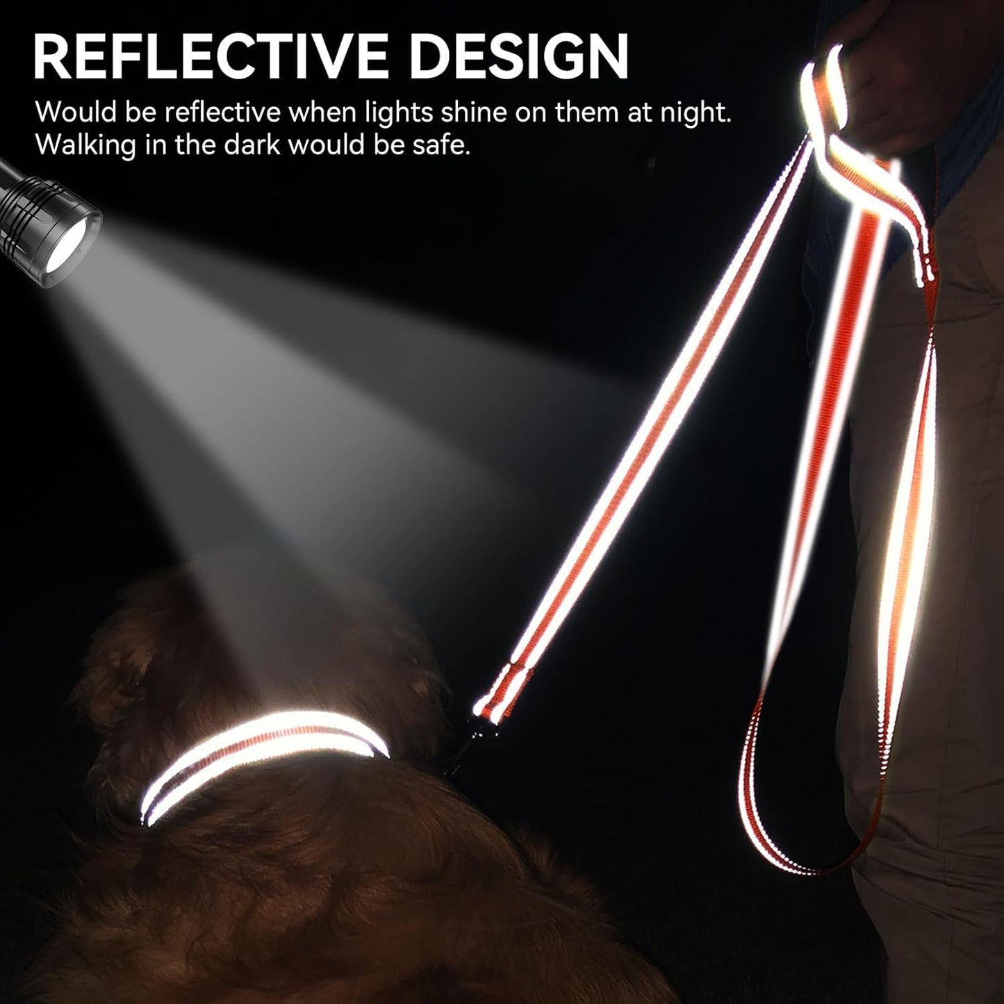 Premium 5 FT Double-Sided Reflective Dog Leash with Padded Handle - Heavy Duty Nylon for Medium & Large Dogs - Vibrant Orange